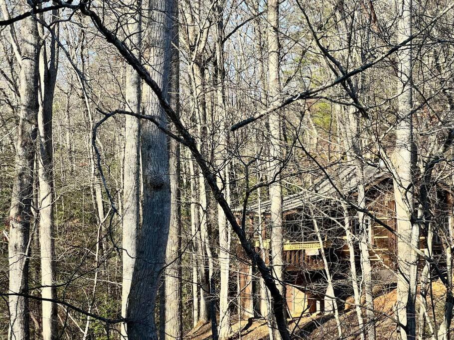 Boozy Bear Bungalow Romantic Cabin 5 Mins 2 Downtown With Hot Tub And Fire Pit 蓋特林堡 外观 照片
