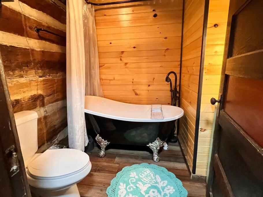 Boozy Bear Bungalow Romantic Cabin 5 Mins 2 Downtown With Hot Tub And Fire Pit 蓋特林堡 外观 照片
